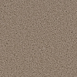 Carpet Remnants - Huge Savings! Broadcast Plush Ash 12'x8'9"