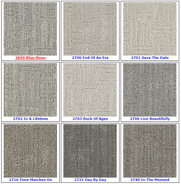 Textured Loop Carpet - Dreamweaver Select - Great Deal @ $4.29/SF Coastal Escape