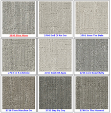 Load image into Gallery viewer, Textured Loop Carpet - Dreamweaver Select - Great Deal @ $4.29/SF Coastal Escape
