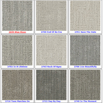 Textured Loop Carpet - Dreamweaver Select - Great Deal @ $4.29/SF Coastal Escape