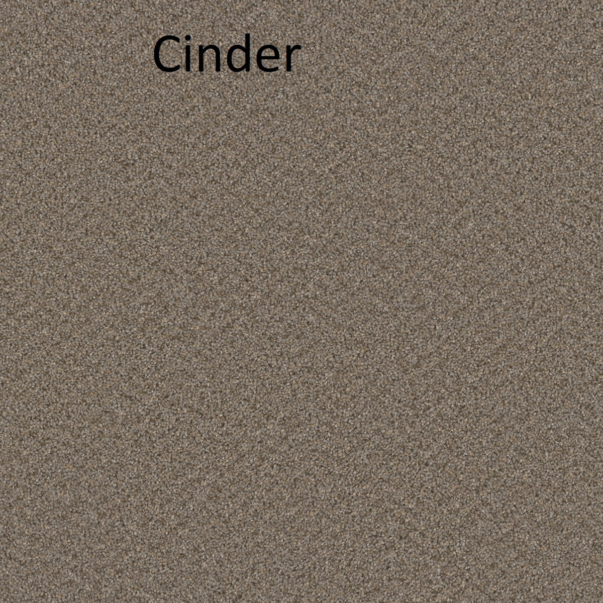 Carpet - Special Deal - Excellent Value Short Pile Plush - $2.99/SF Installed with Pad.