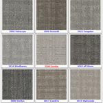 Textured Loop Carpet - Dreamweaver Select - Great Deal @ $4.29/SF