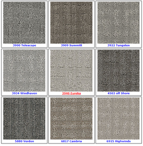 Textured Loop Carpet - Dreamweaver Select - Great Deal @ $4.29/SF