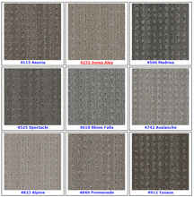 Load image into Gallery viewer, Textured Loop Carpet - Dreamweaver Select - Great Deal @ $4.29/SF