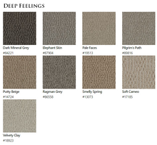 Load image into Gallery viewer, Carpet by Beaulieu Canada Deep Feelings