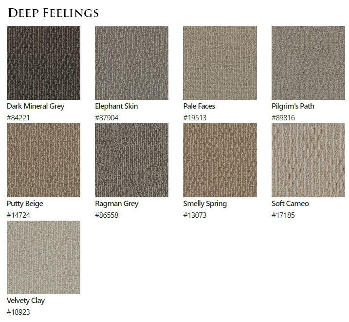 Carpet by Beaulieu Canada Deep Feelings