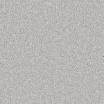 Carpet - Comfy Quality Plush (40-50 Oz.) - $2.49 to $2.99/sf