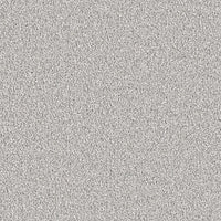 Carpet - Comfy Quality Plush (40-50 Oz.) - $2.49 to $2.99/sf