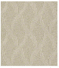 Load image into Gallery viewer, Patterned Carpet - Starting at $2.09/SF Free Spirit (Shaw) - col: Cashmere - 12x20&#39; - $300