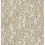 Patterned Carpet - Starting at $2.09/SF Free Spirit (Shaw) - col: Cashmere - 12x20' - $300