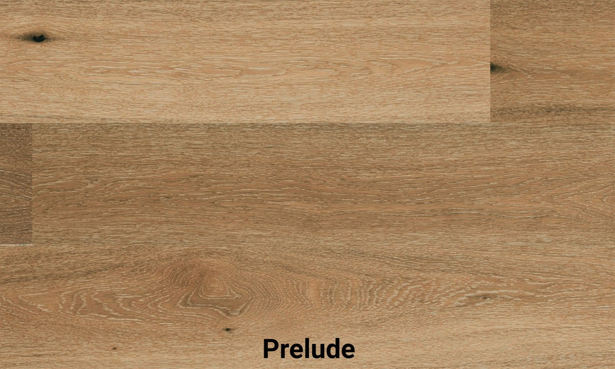 Fuzion Classical Elegance - Oak, 7 1/2" x 5/8″ - 11 Colours Prelude