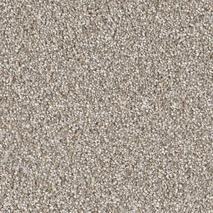 Carpet Remnants - Huge Savings! Montauk Iron Frost 12’x3’9”