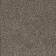 Load image into Gallery viewer, Carpet Remnants - Huge Savings! Monte Carlo Fawn 12&#39;x12&#39;