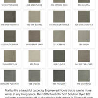 Carpet by DreamWeaver Malibu II