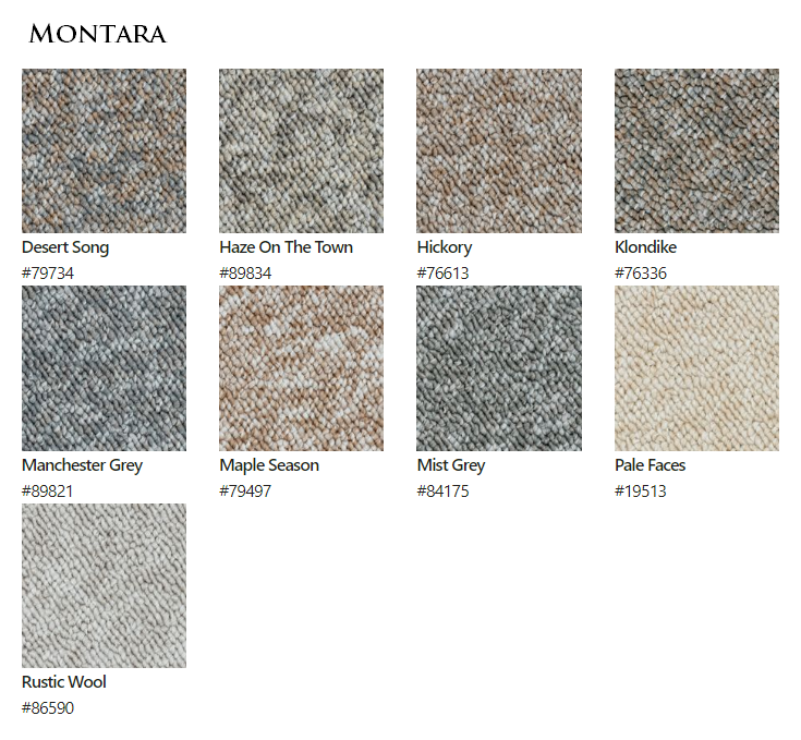 Carpet by Beaulieu Canada Montara