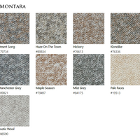 Carpet by Beaulieu Canada Montara