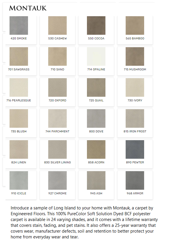Carpet by DreamWeaver Montauk
