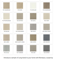 Carpet by DreamWeaver Montauk