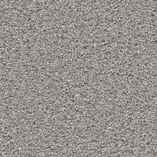 Load image into Gallery viewer, Carpet Remnants - Huge Savings! Malibu ll Orion 12’x4’