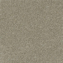 Load image into Gallery viewer, Carpet Remnants - Huge Savings! Acclaim Rhinestone 12&#39;x5&#39;6&quot;