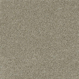 Carpet Remnants - Huge Savings! Acclaim Rhinestone 12'x5'6"