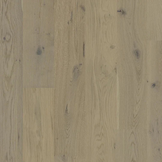 Biyork Nouveau 7 Prelude - European Oak, 7 1/2" x 3/4 x Random Length - 10 Colours Sandy Dream