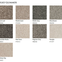 Carpet by Beaulieu Canada Silky Glimmer