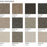 Carpet by Beaulieu Canada Splender