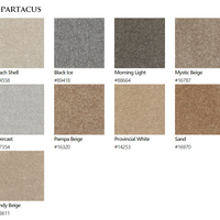 Carpet by Beaulieu Canada Spartacus