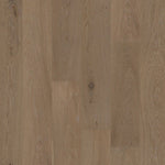 Biyork Nouveau 7 Prelude - European Oak, 7 1/2" x 3/4 x Random Length - 10 Colours Tortuga