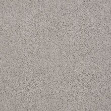 Load image into Gallery viewer, Carpet Remnants - Huge Savings! Beverley Grove Valley Mist 12&#39;x12&#39;