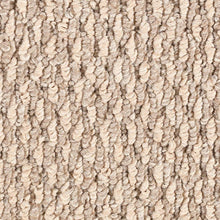Load image into Gallery viewer, Carpet Remnants - Huge Savings! Simply Awesome Brassine 3’9”x12’