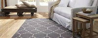 Next - Area Rugs