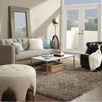 Shag Area Rugs