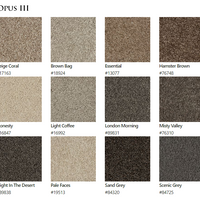 Carpet by Beaulieu Canada Opus III