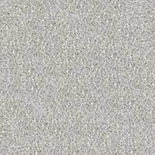 Load image into Gallery viewer, Carpet Remnants - Huge Savings! Spartacus Overcast 12&#39;x11&#39;