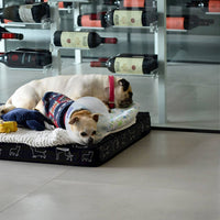 Centura Tile - Ceramic, Porcelain, and Stone