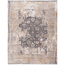 Load image into Gallery viewer, Vienna Area Rug Collection 1560 Grey